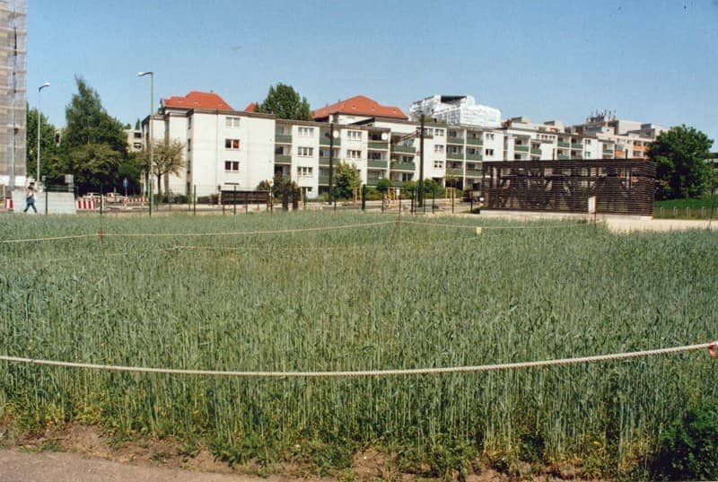 Zeigt einen begrühnten vormaligen Mauerstreifen